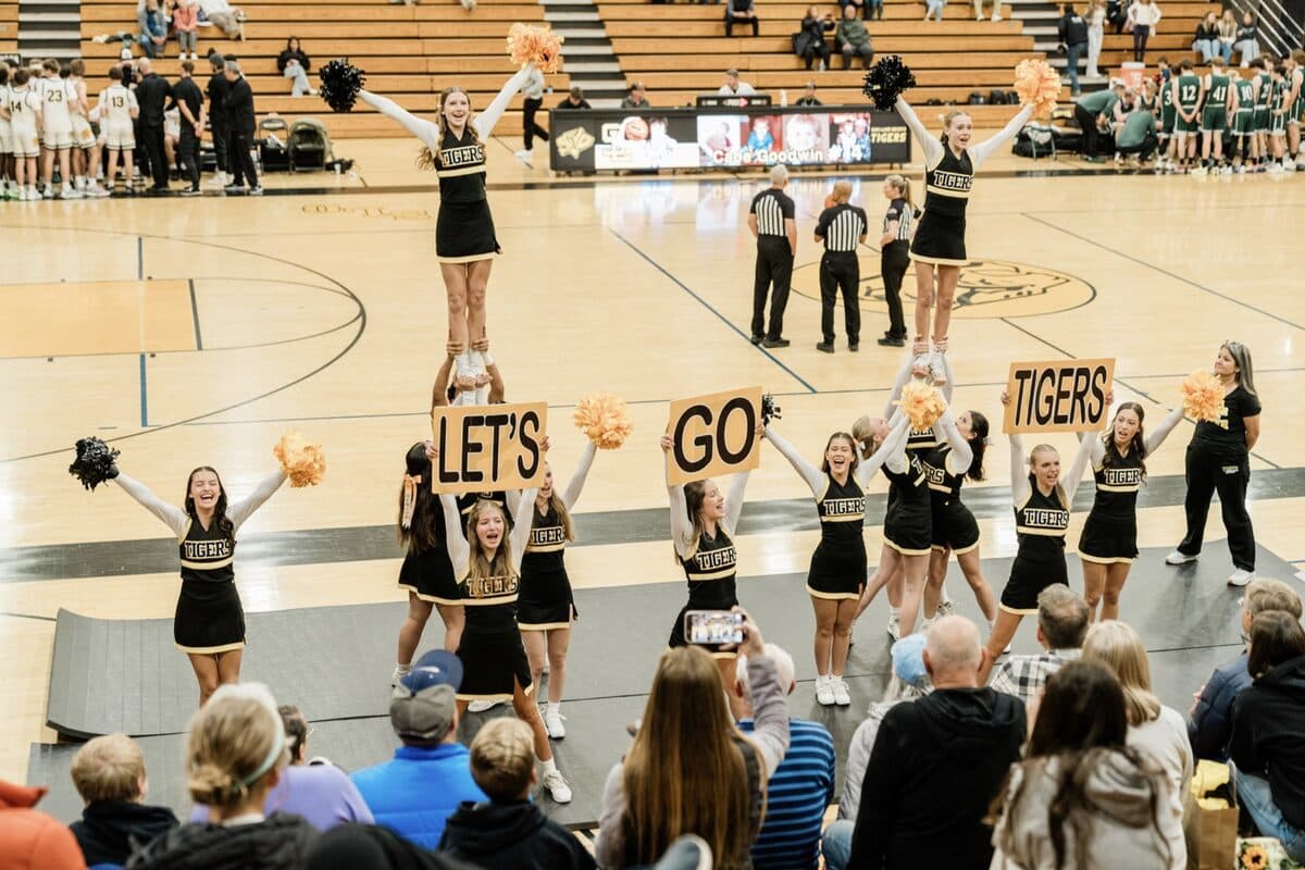 Tiger Winter Cheer